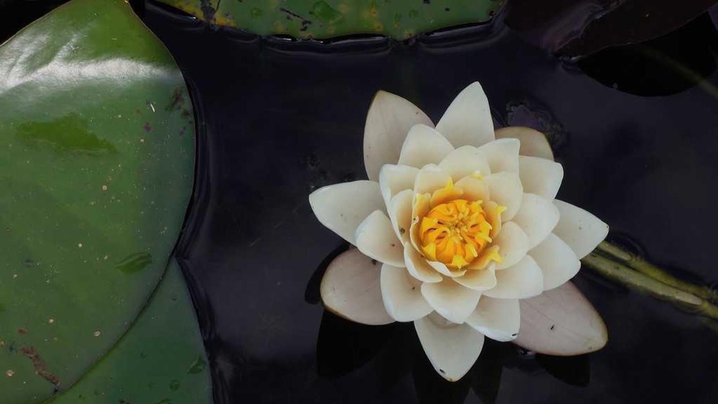 Professional coaching session focused on case studies.