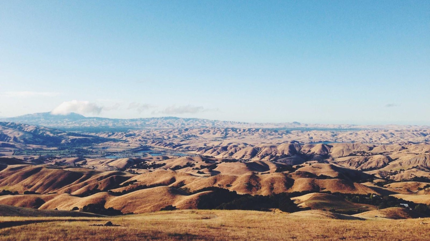 Professional coaching session focused on portfolio strategy.