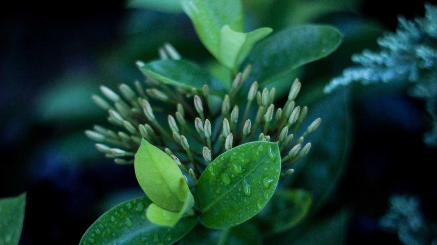 Professional coaching session focused on resume clarity.