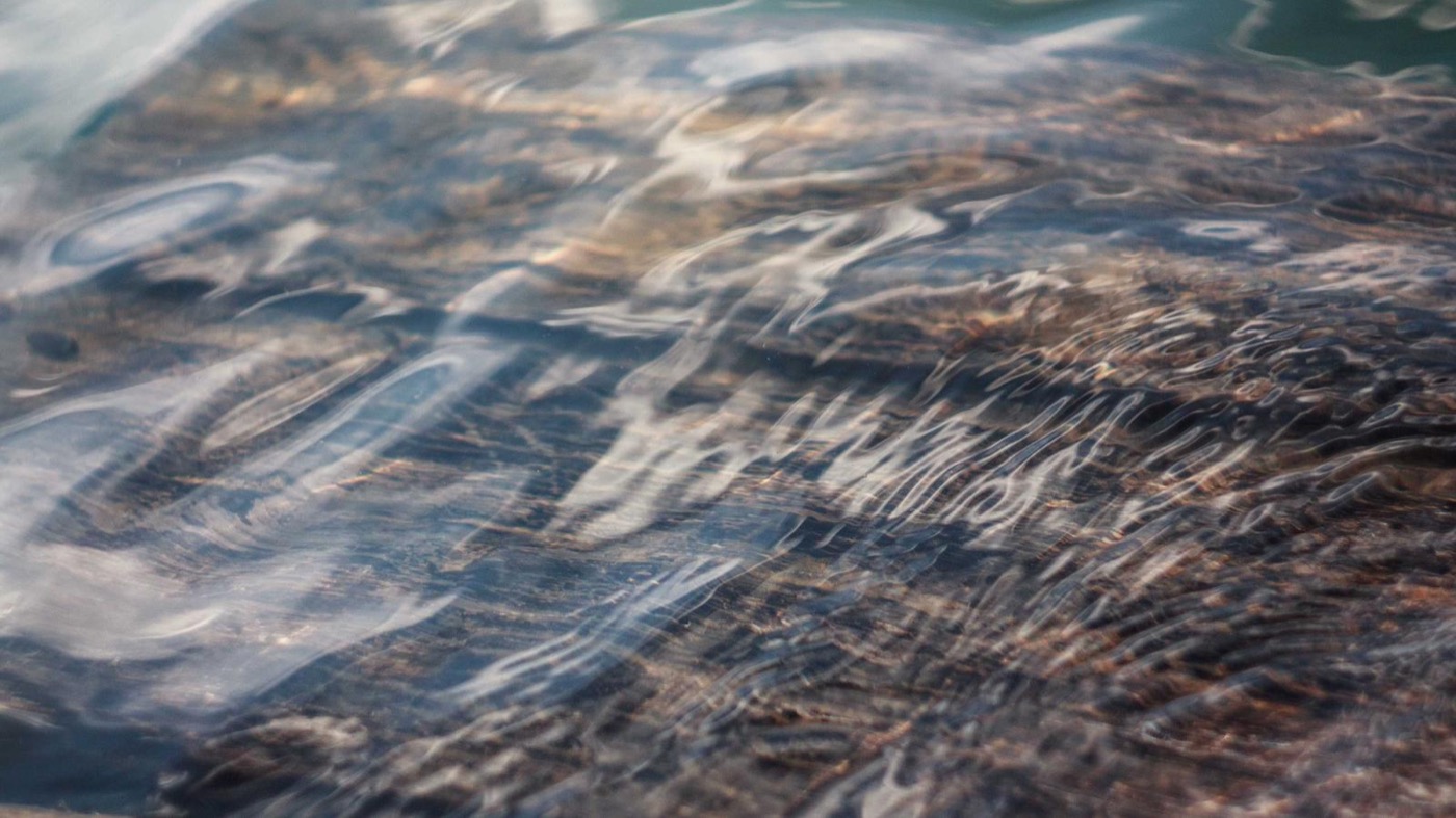 Professional coaching session focused on resume clarity.