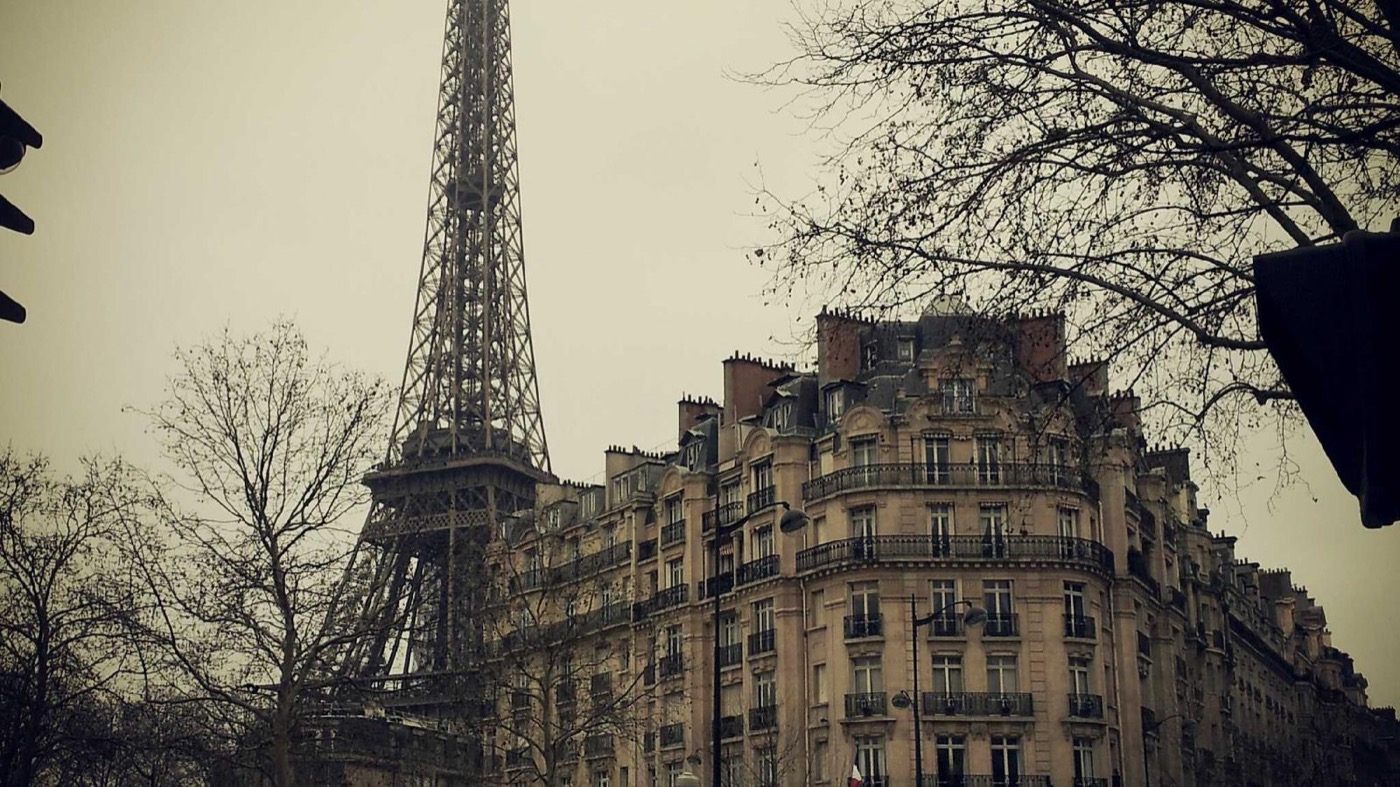 Professional career coaching session in a modern office.