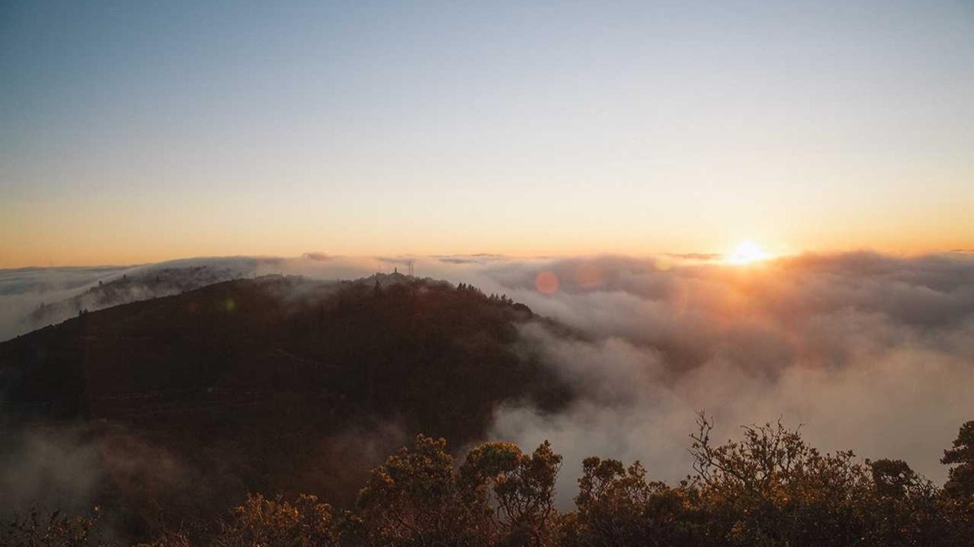 Professional coaching session focused on career pivots.