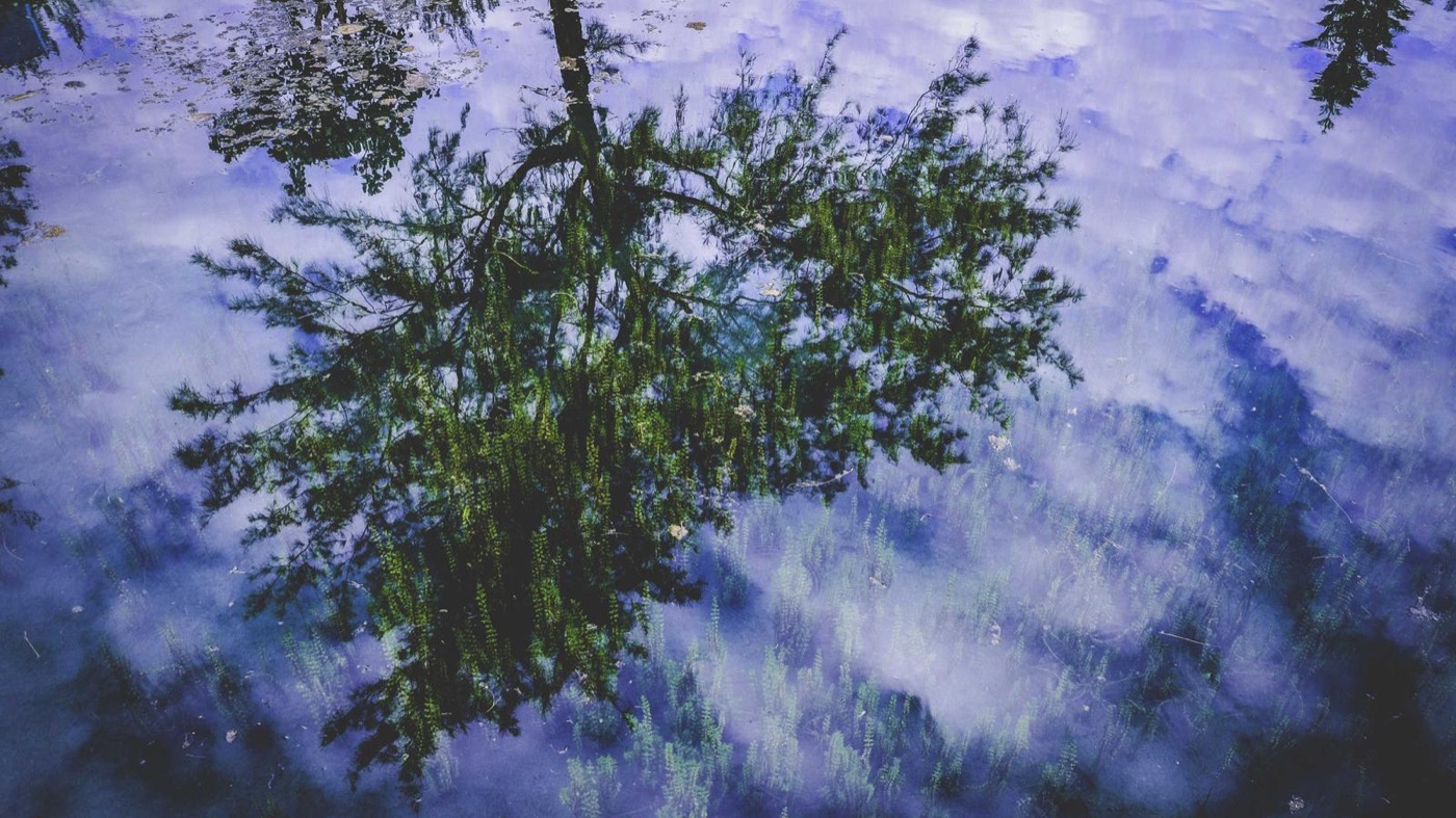 Professional coaching session focused on LinkedIn optimization.