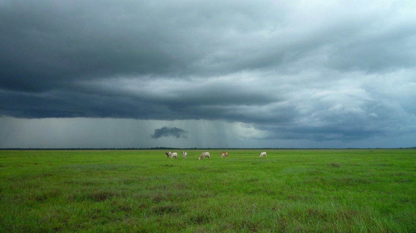 Professional coaching session focused on recruiter screens.