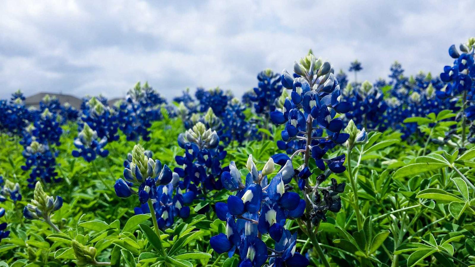 Professional coaching and career strategy imagery.