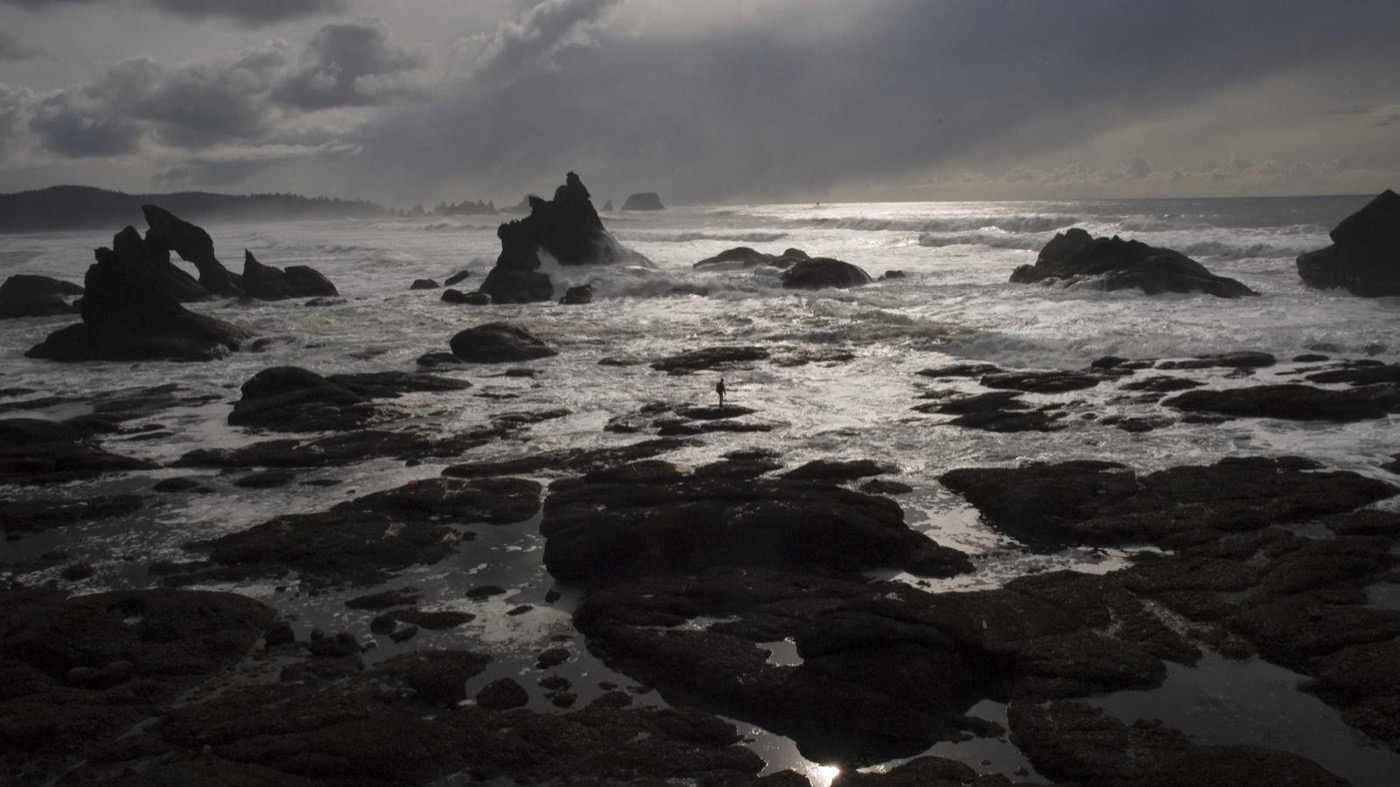 Professional coaching session focused on career pivots.