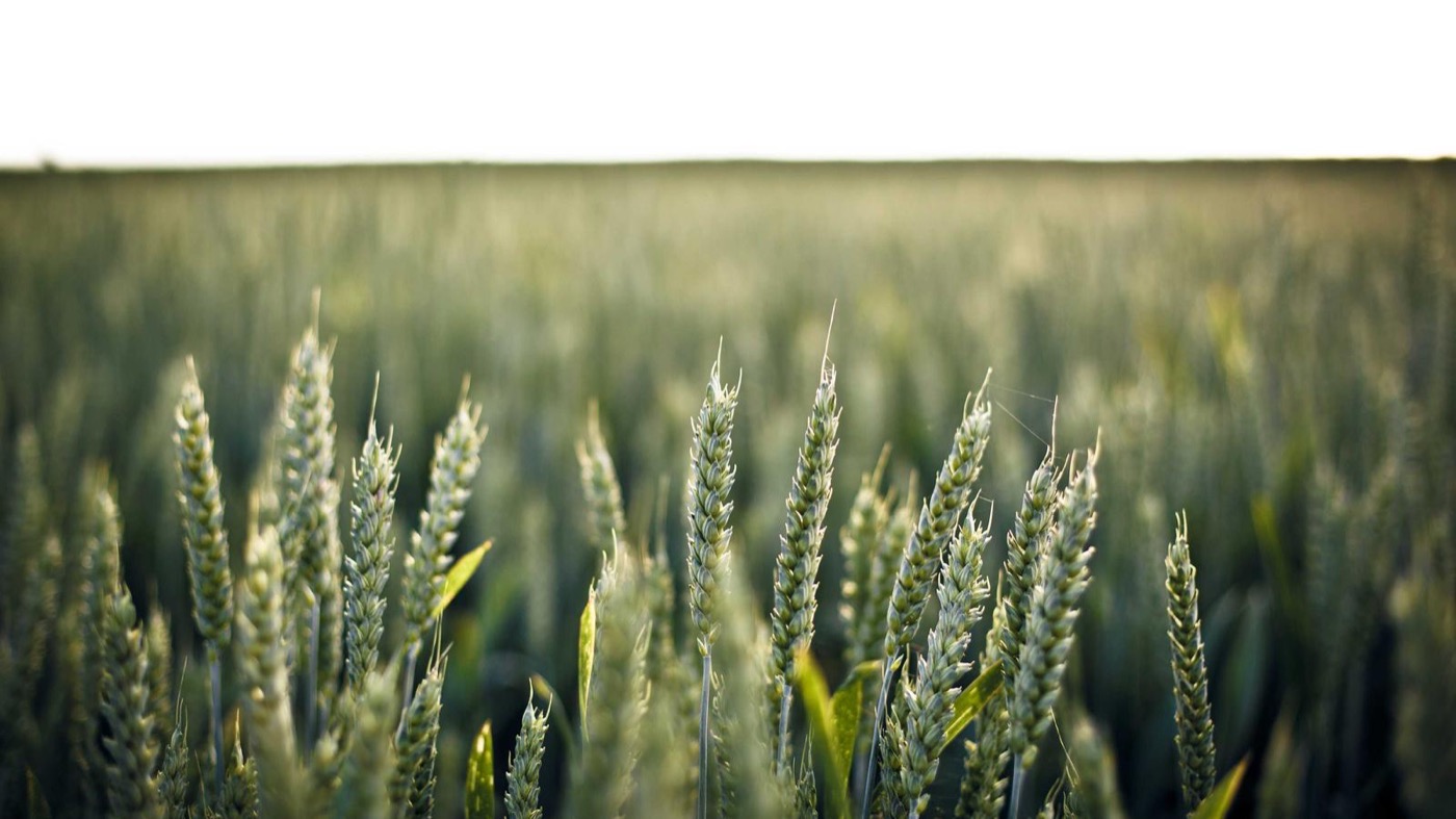 Professional coaching session focused on executive presence.