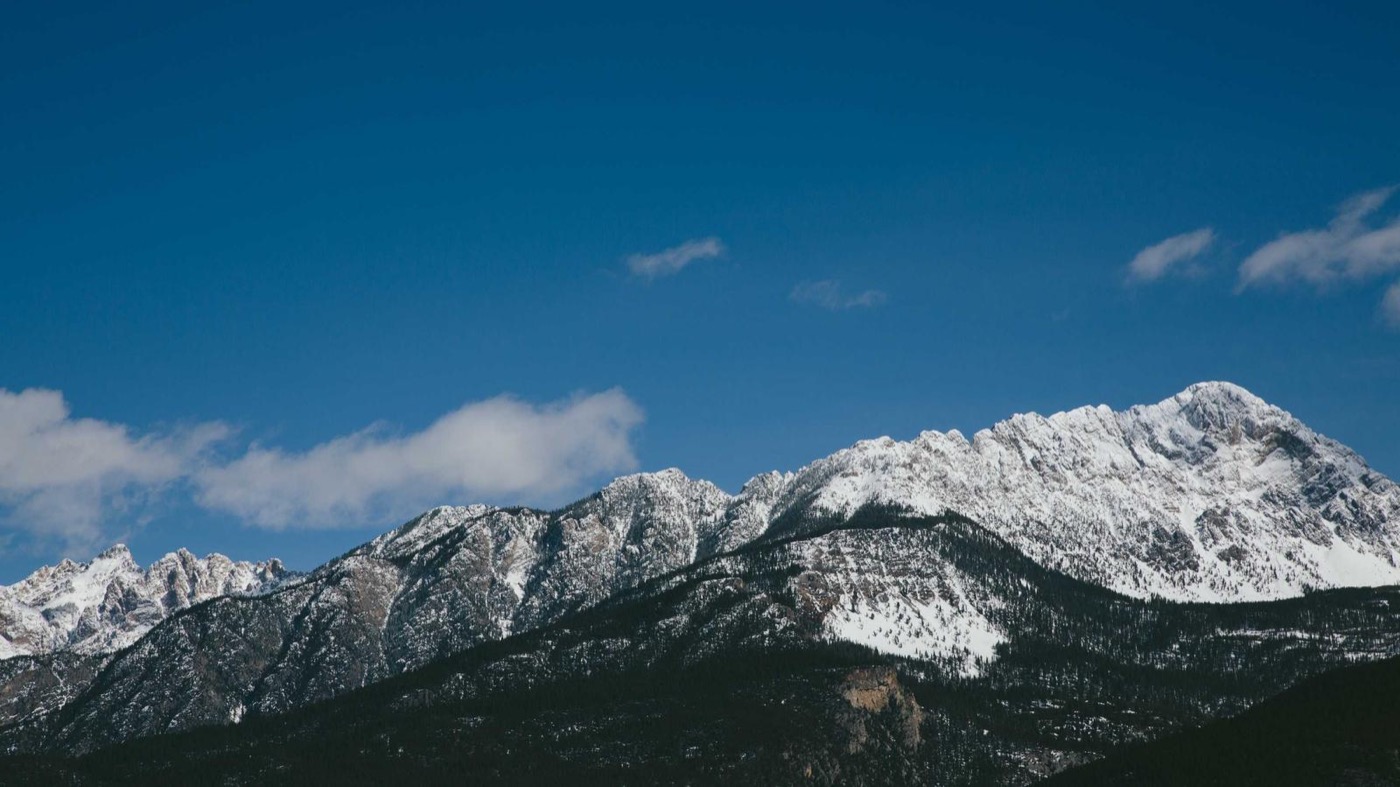 Professional coaching session focused on offer negotiation.