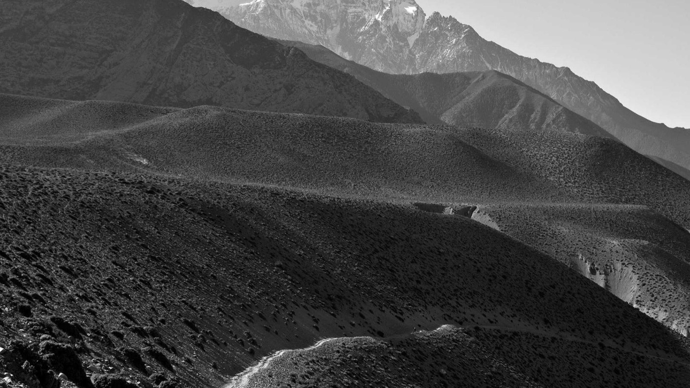 Career coaching session with staff engineers in Houston.