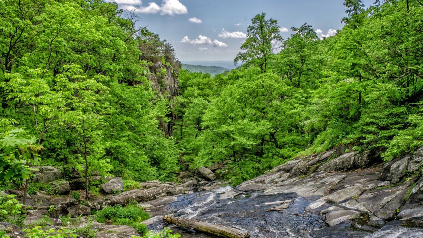 Career coaching session with machine learning engineers in Houston.