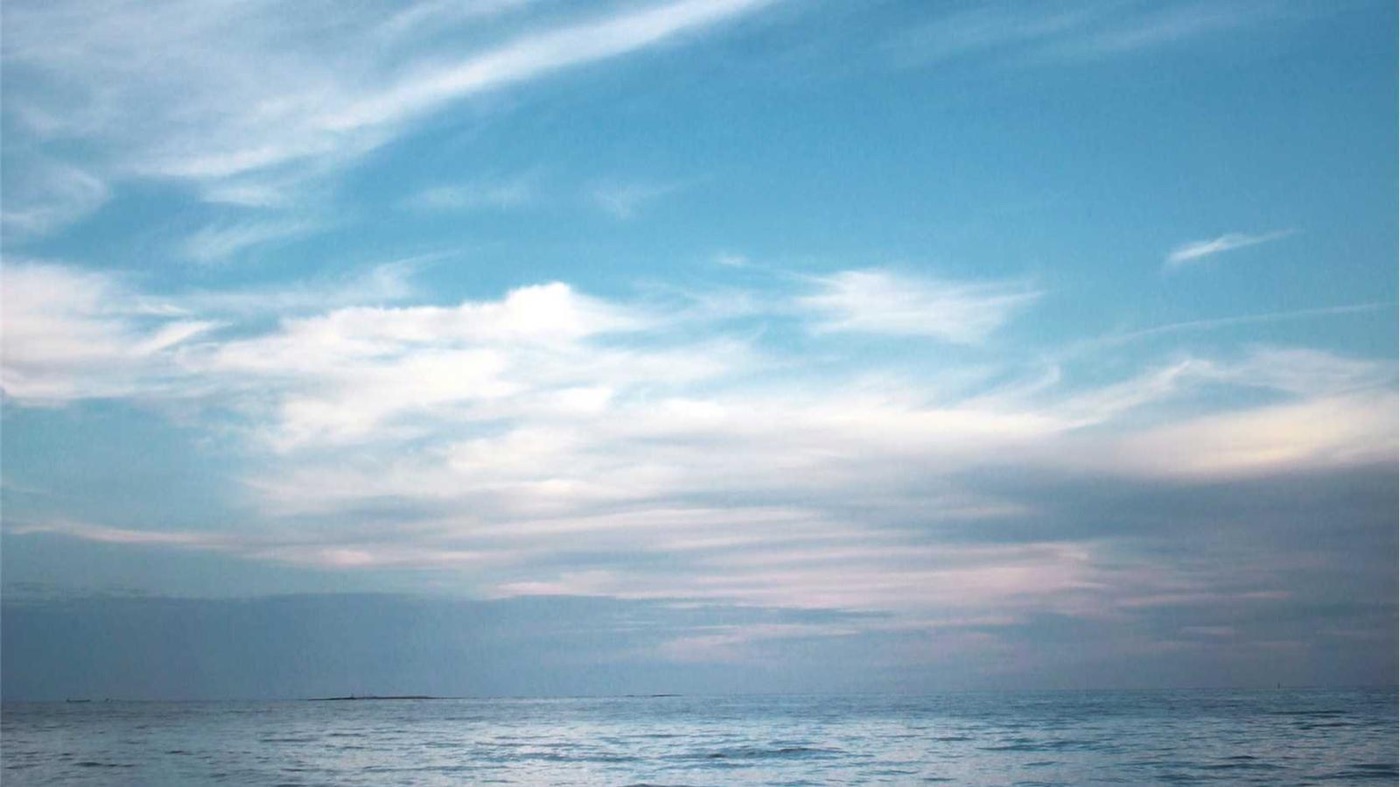 Career coaching session with staff engineers in Houston.