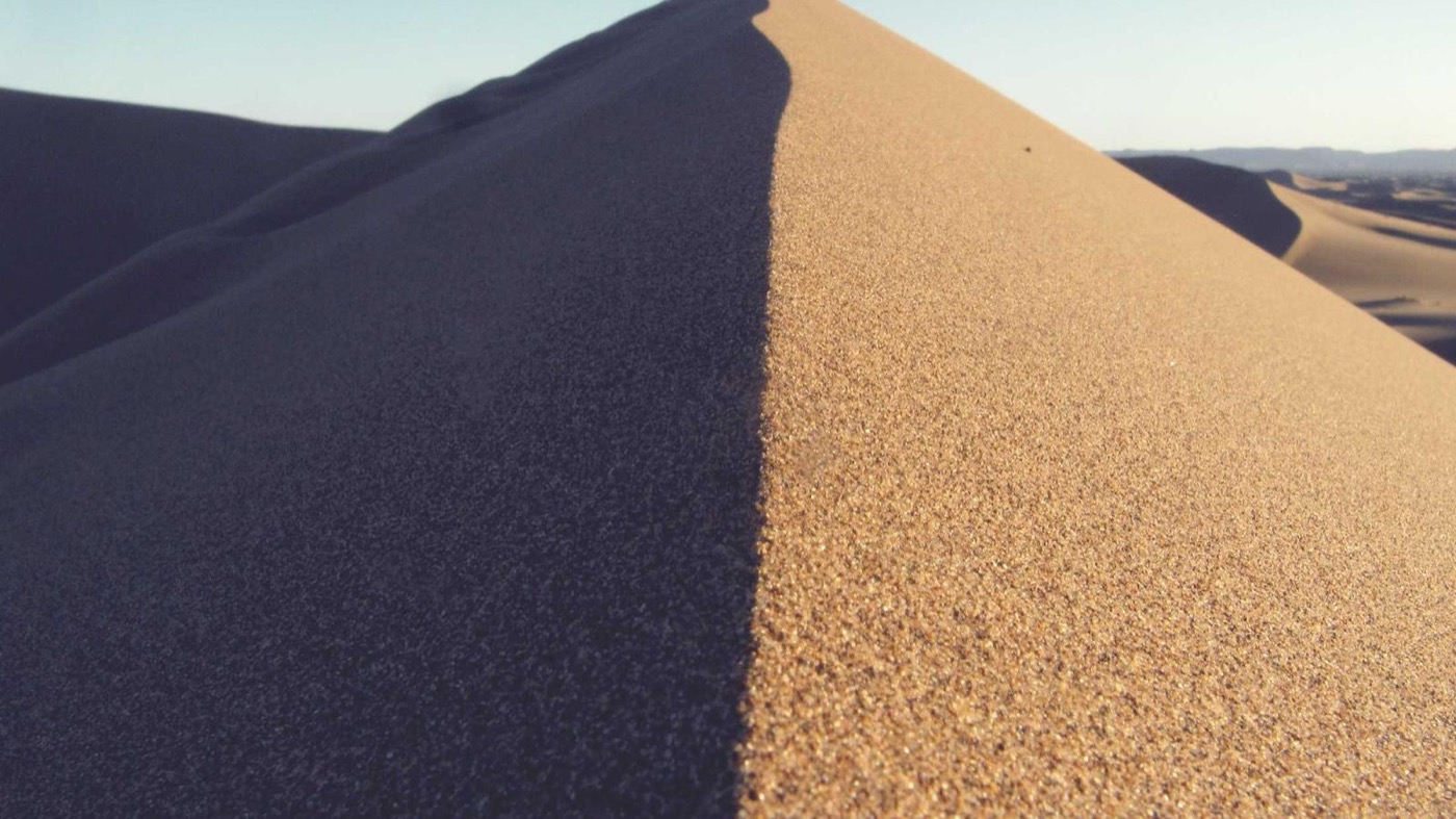 Career coaching session with data scientists in Houston.