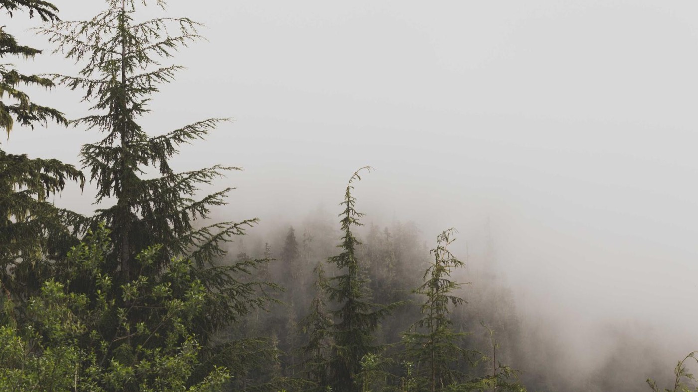 Career coaching session with QA / test automation in Houston.