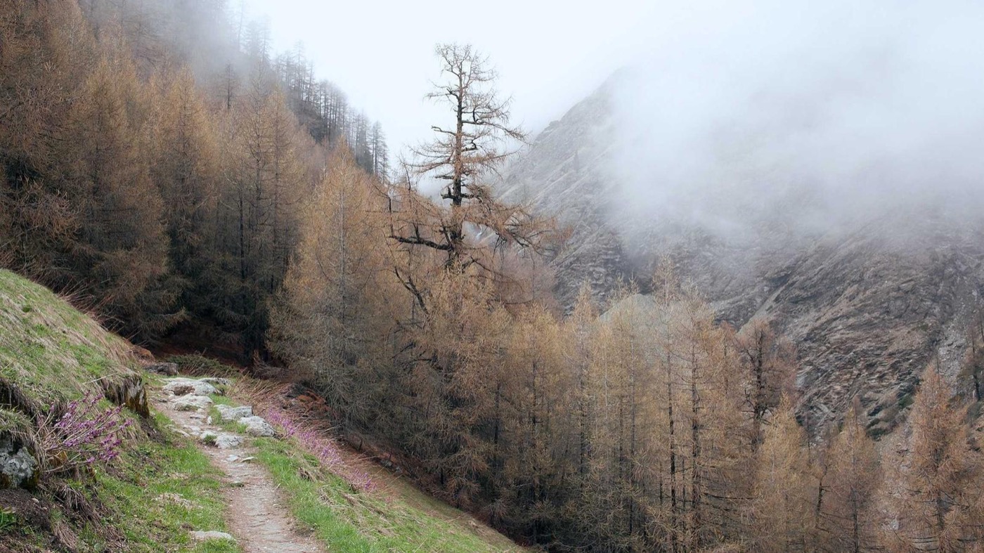 Career coaching session with backend engineers in Houston.