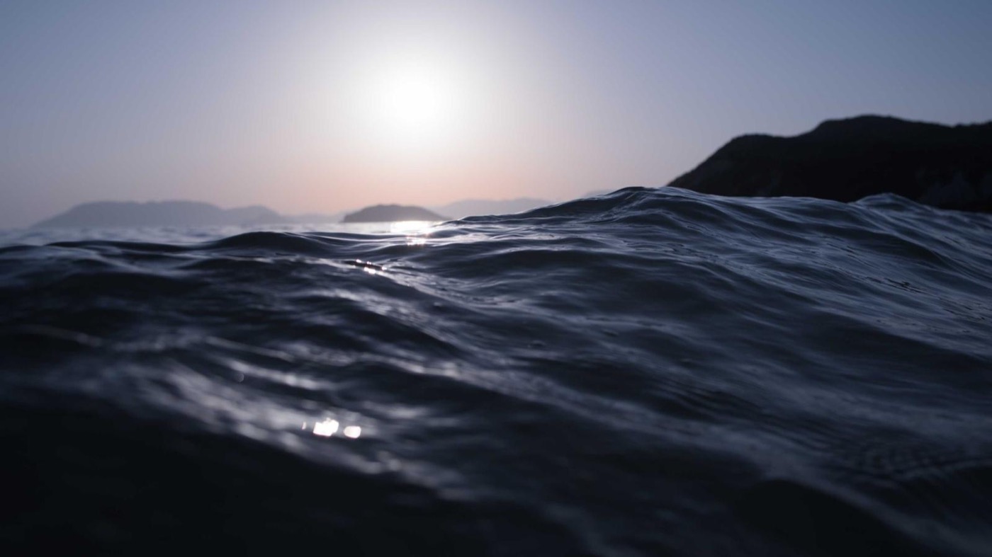 Professional career coaching session in a modern office.