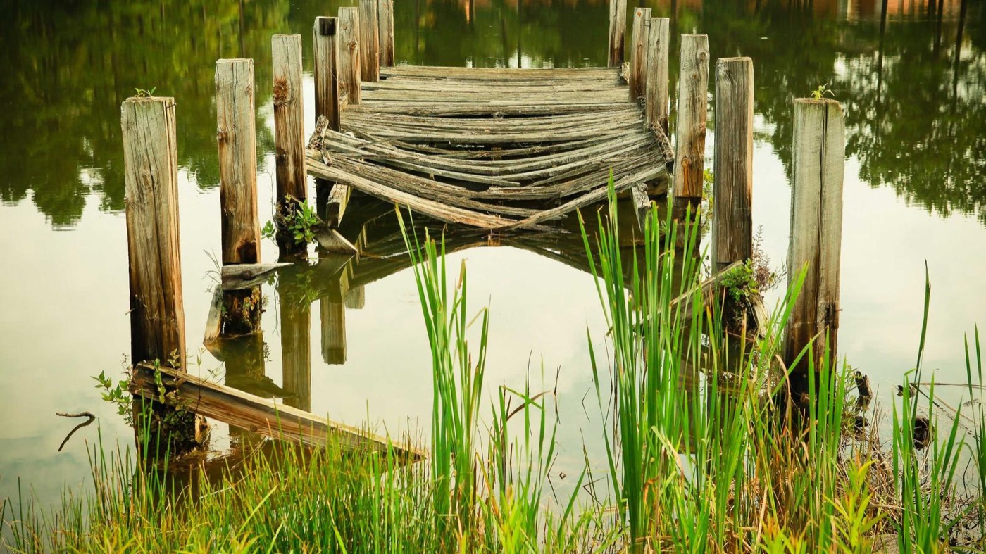 Professional career coaching session in a modern office.