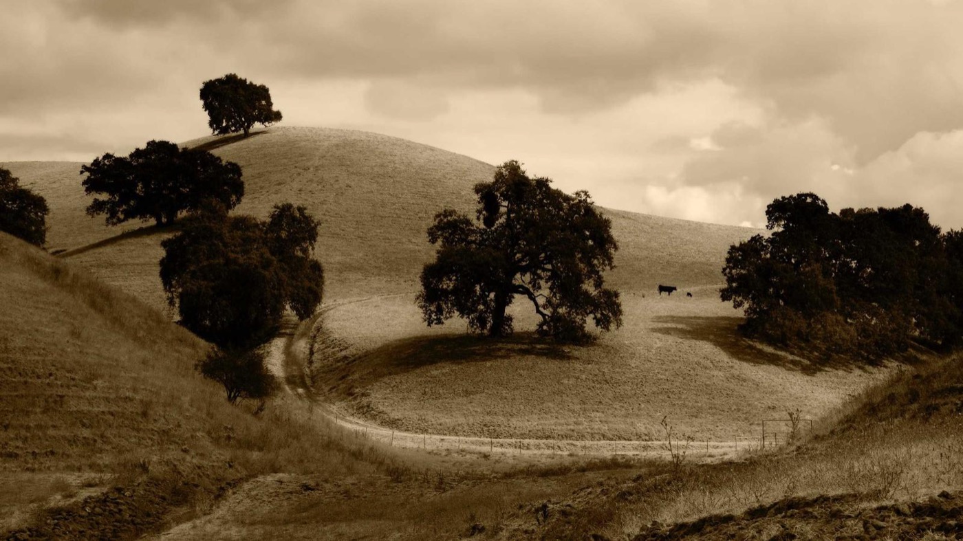 Professional career coaching session in a modern office.
