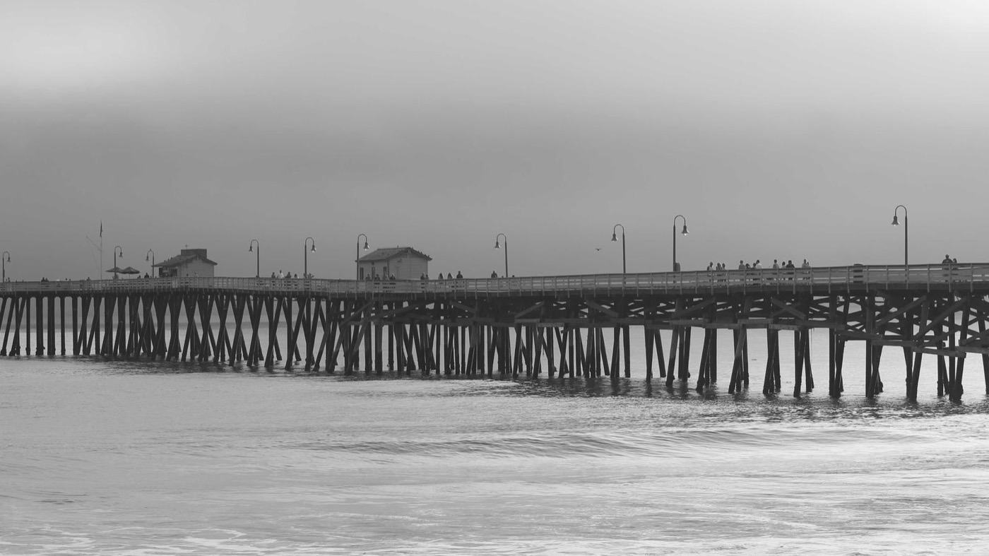 Professional career coaching session in a modern office.