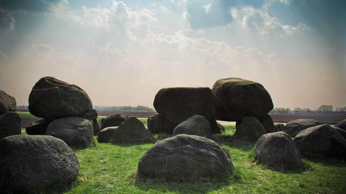 Professional career coaching session in a modern office.