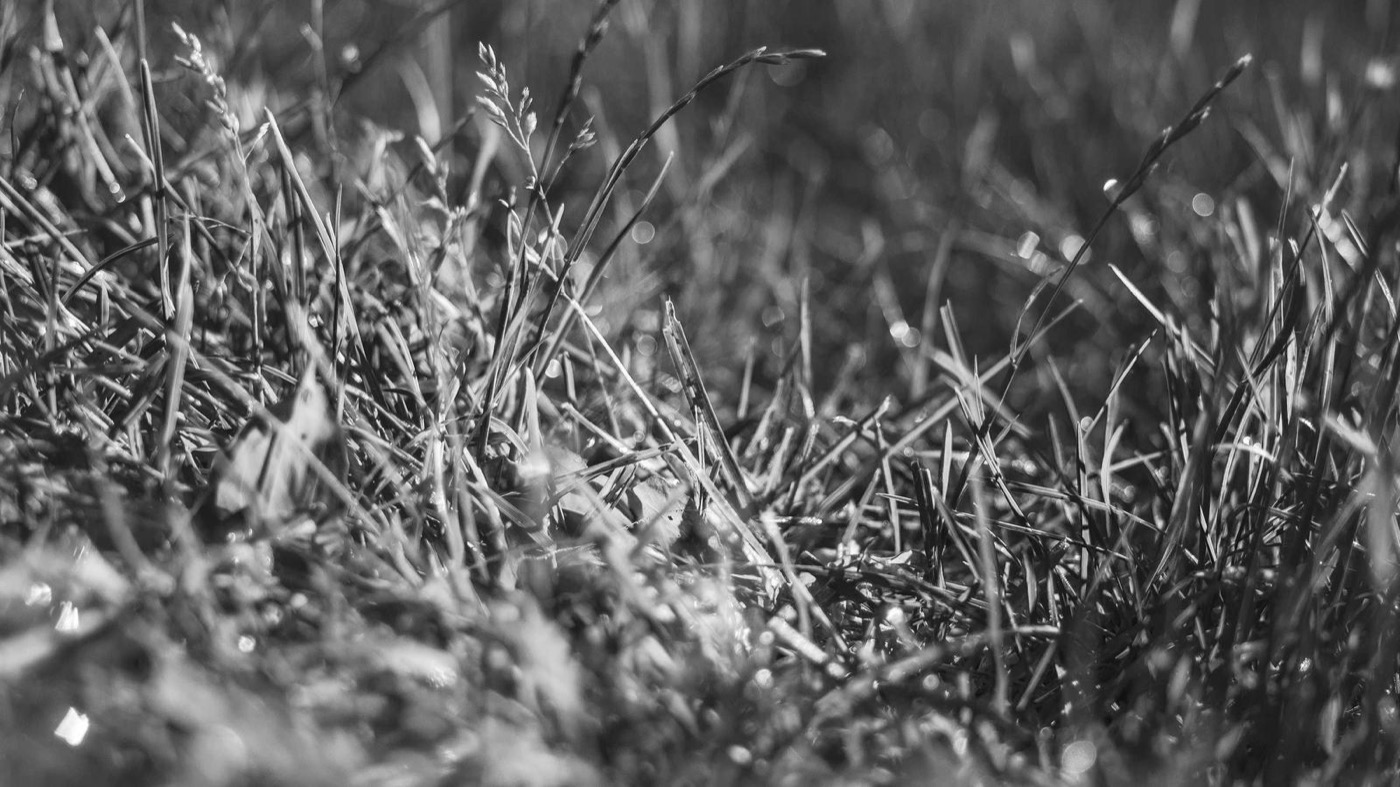 Professional career coaching session in a modern office.