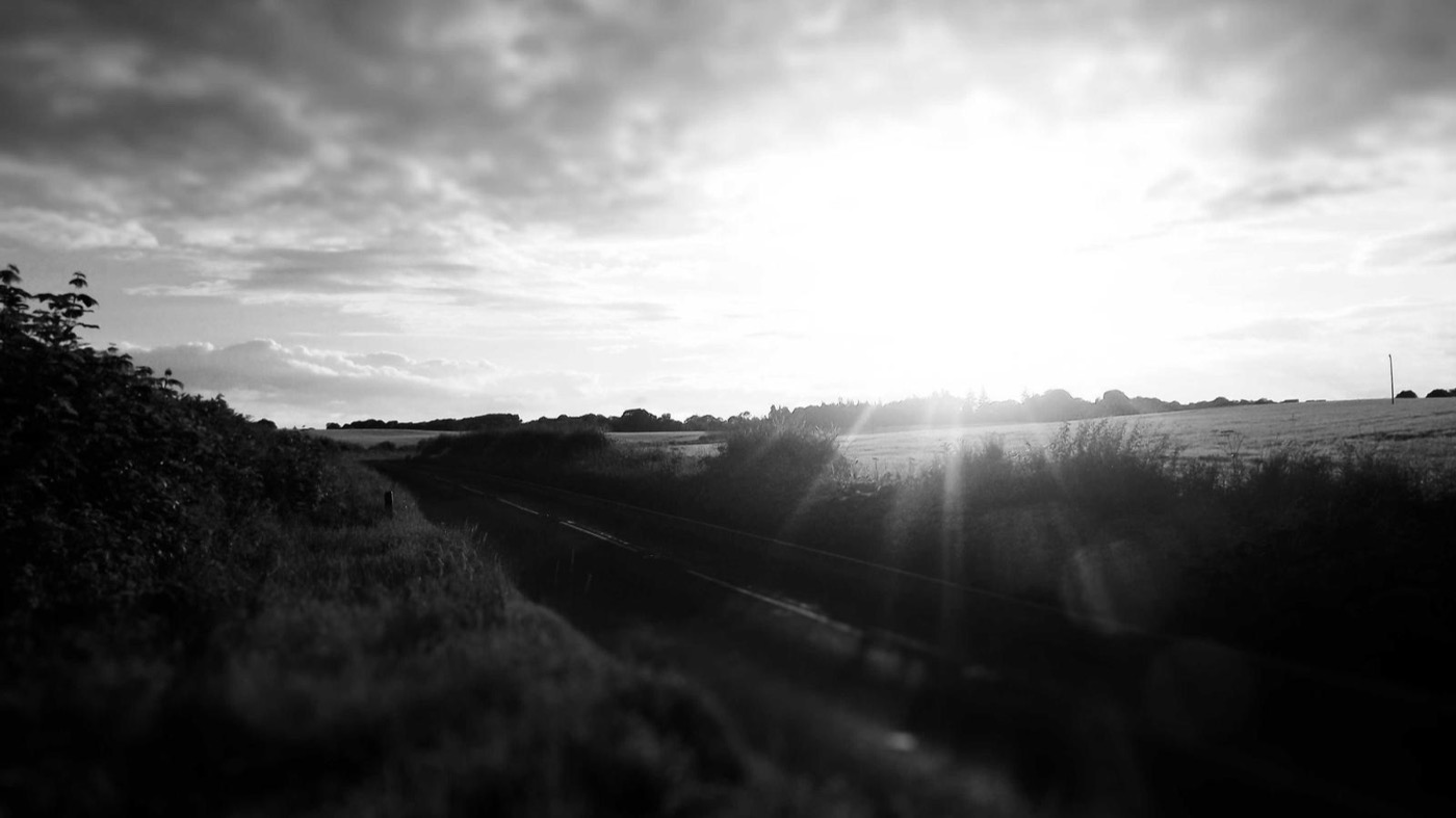 Professional career coaching session in a modern office.