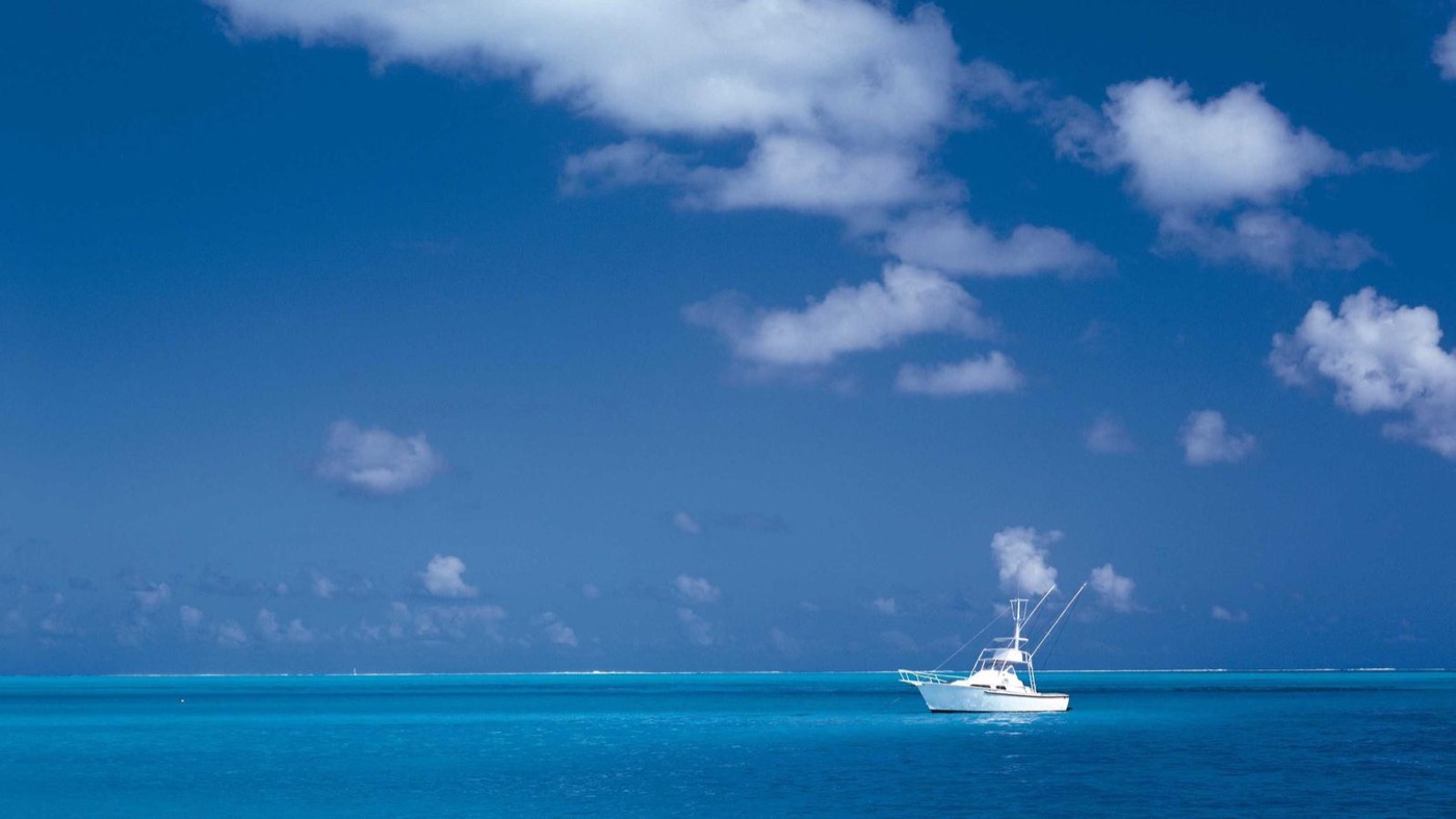 Professional career coaching session in a modern office.