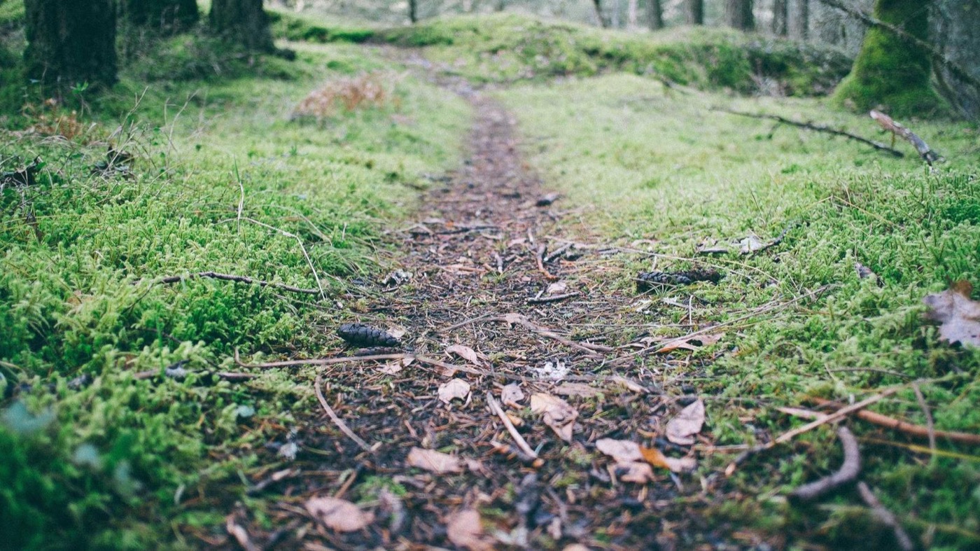 Professional career coaching session in a modern office.