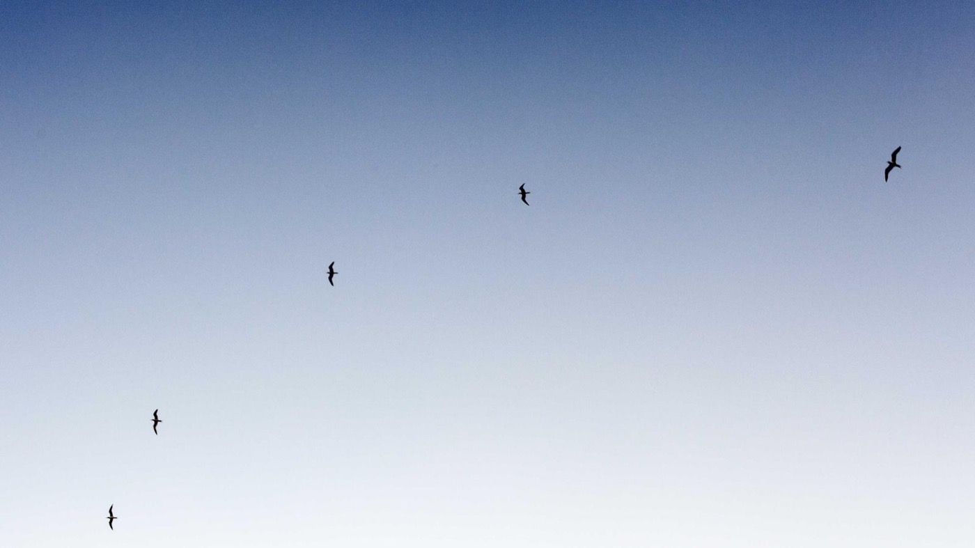 Professional career coaching session in a modern office.