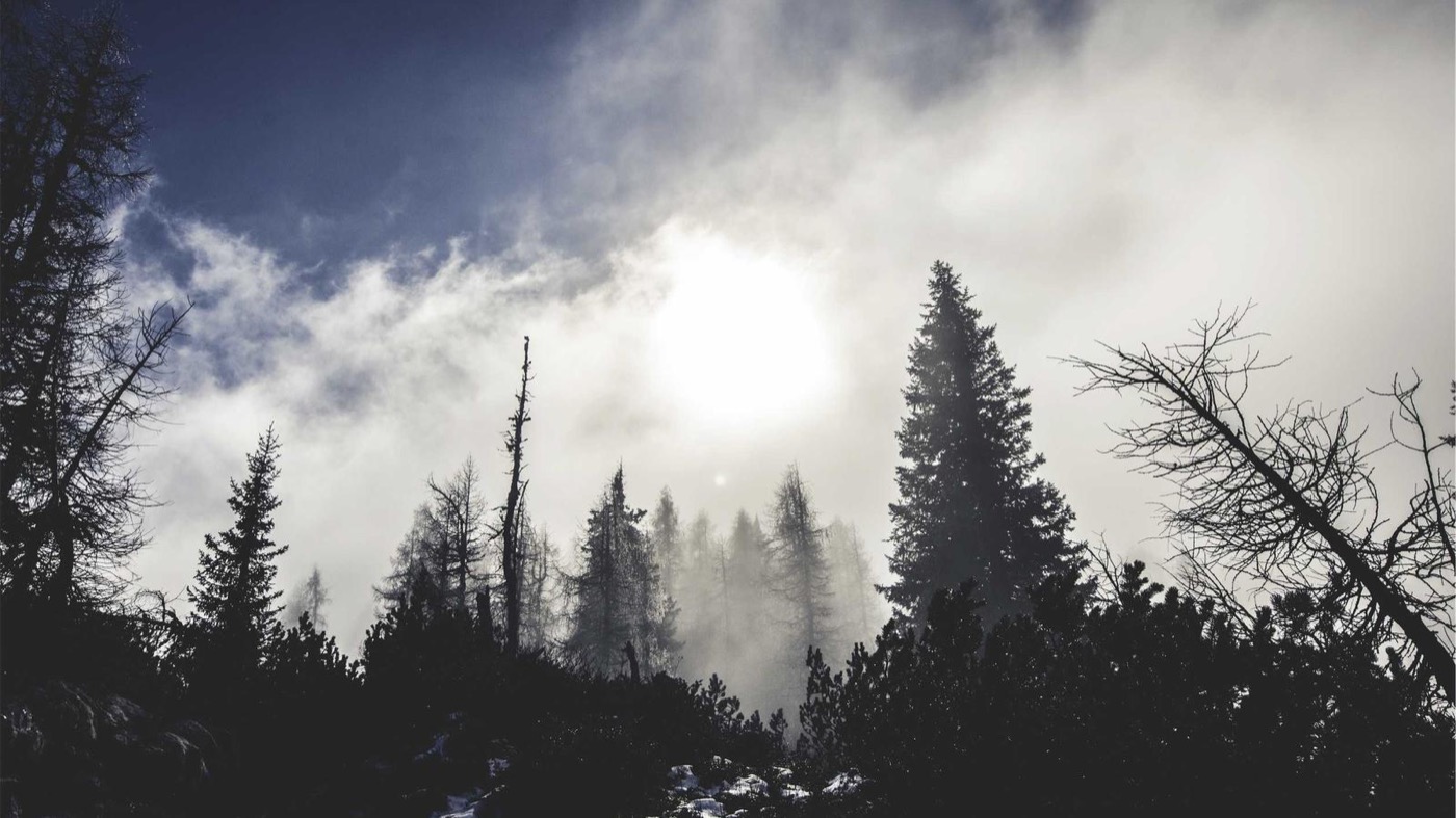 Professional career coaching session in a modern office.