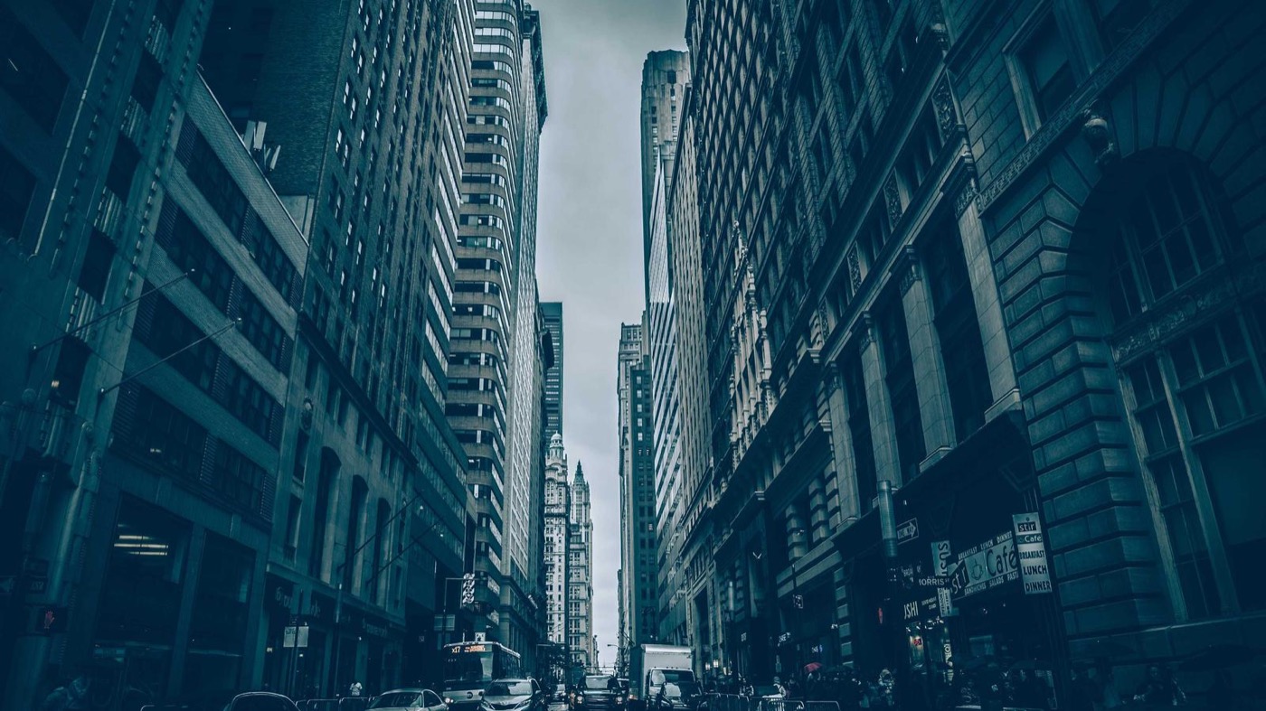 Professional career coaching session in a modern office.