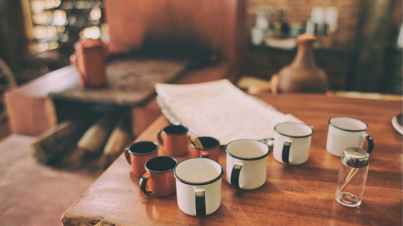 Professional career coaching session in a modern office.