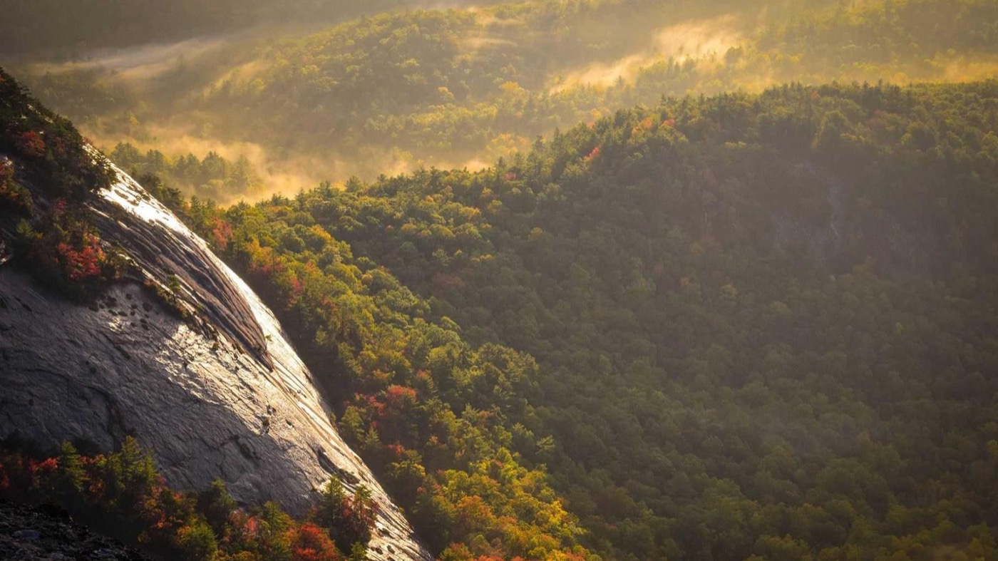 Professional career coaching session in a modern office.