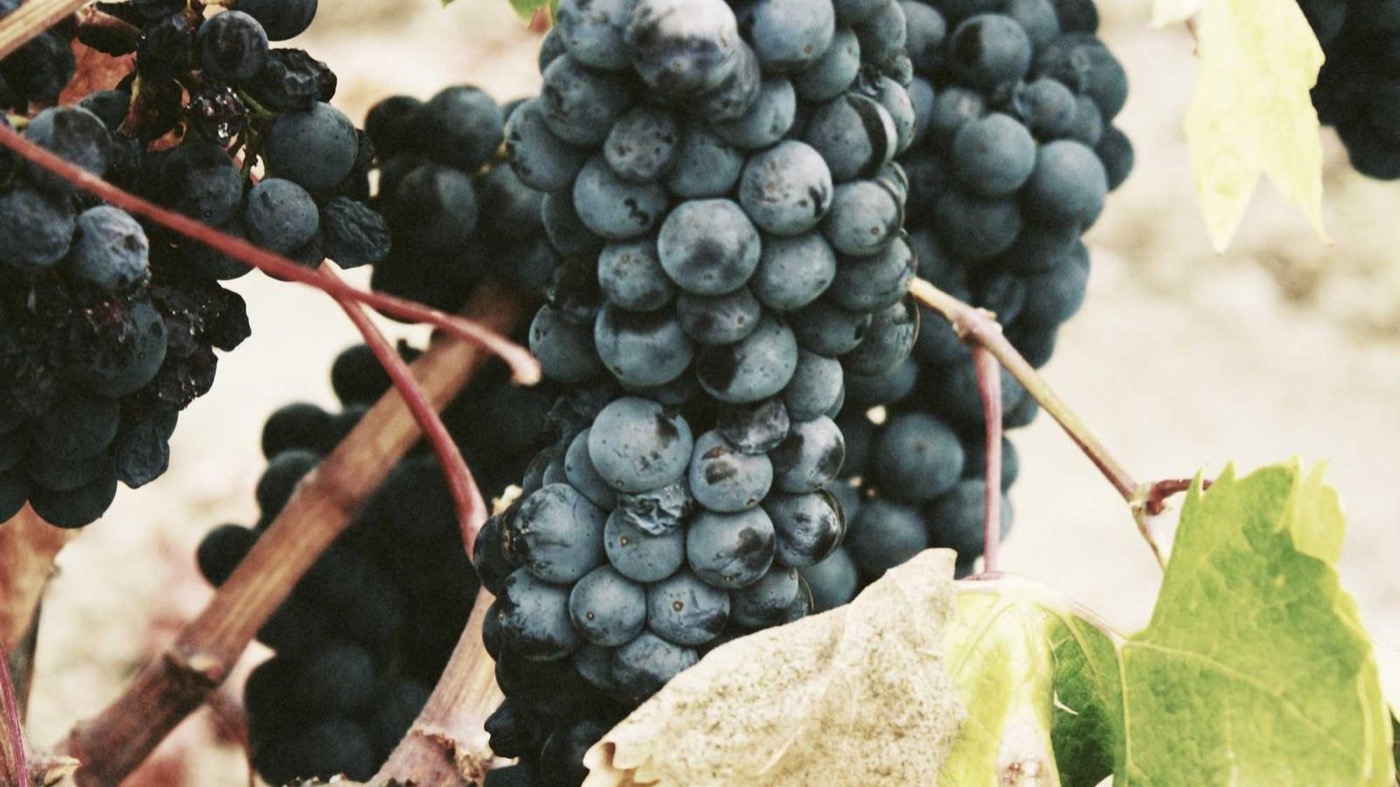 Professional coaching session focused on executive presence.