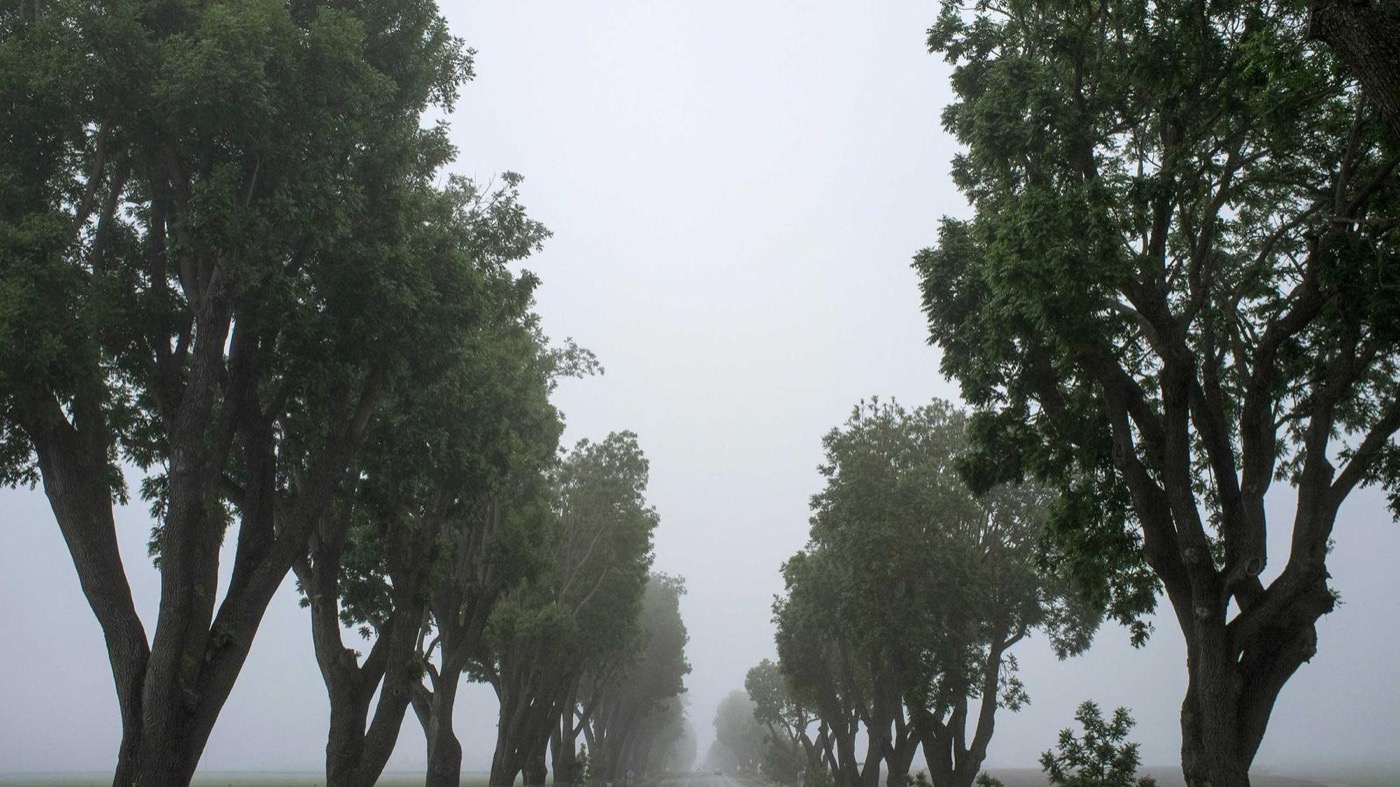 Professional coaching session focused on job search strategy.