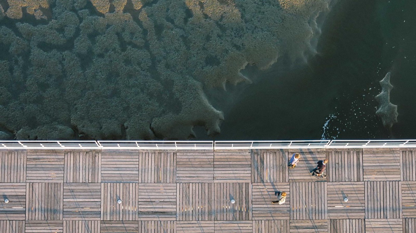 Professional coaching session focused on job search strategy.