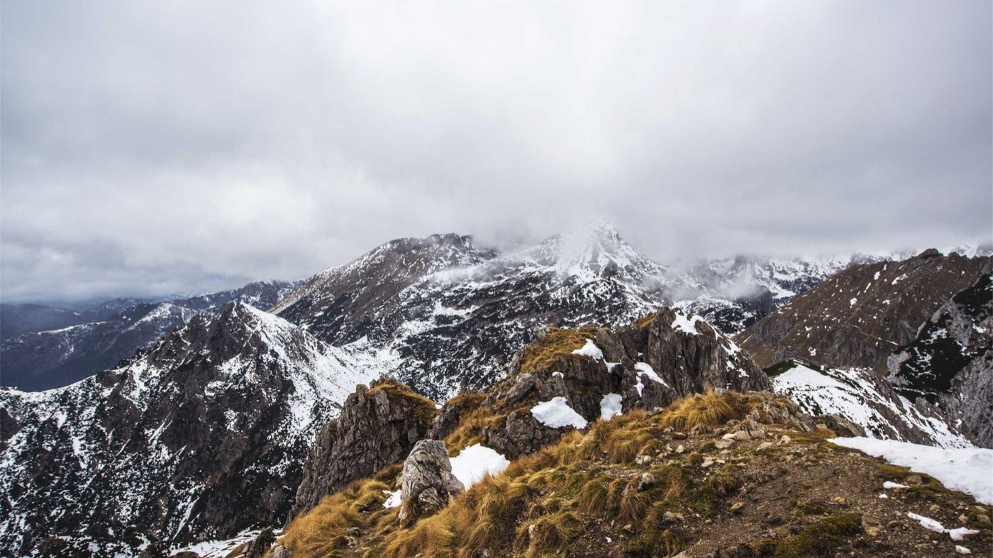 Professional coaching session focused on networking strategy.