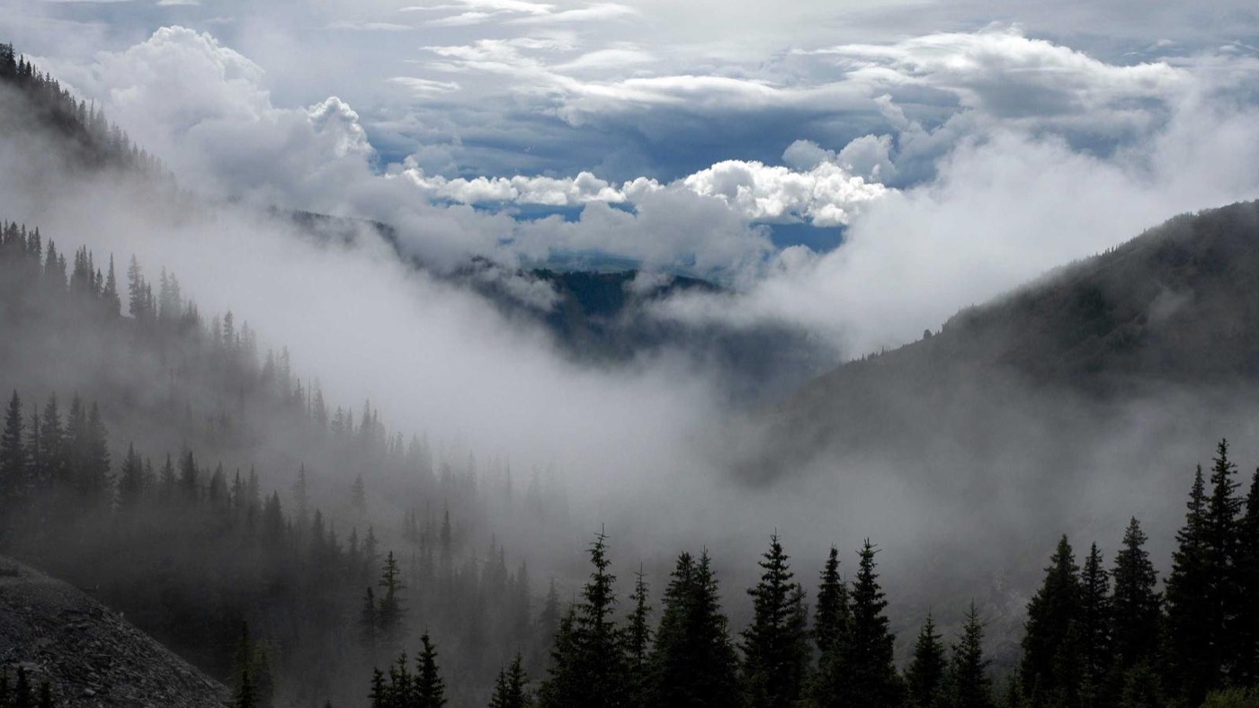 Professional coaching session focused on offer negotiation.