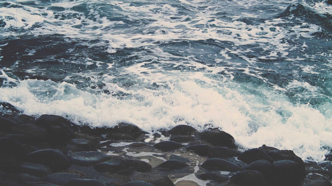 Professional coaching session focused on offer negotiation.