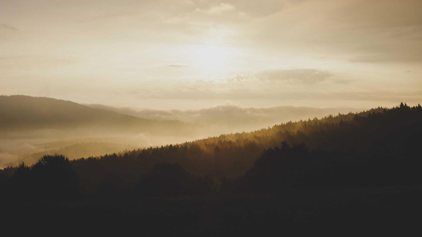 Professional career coaching session in a modern office.