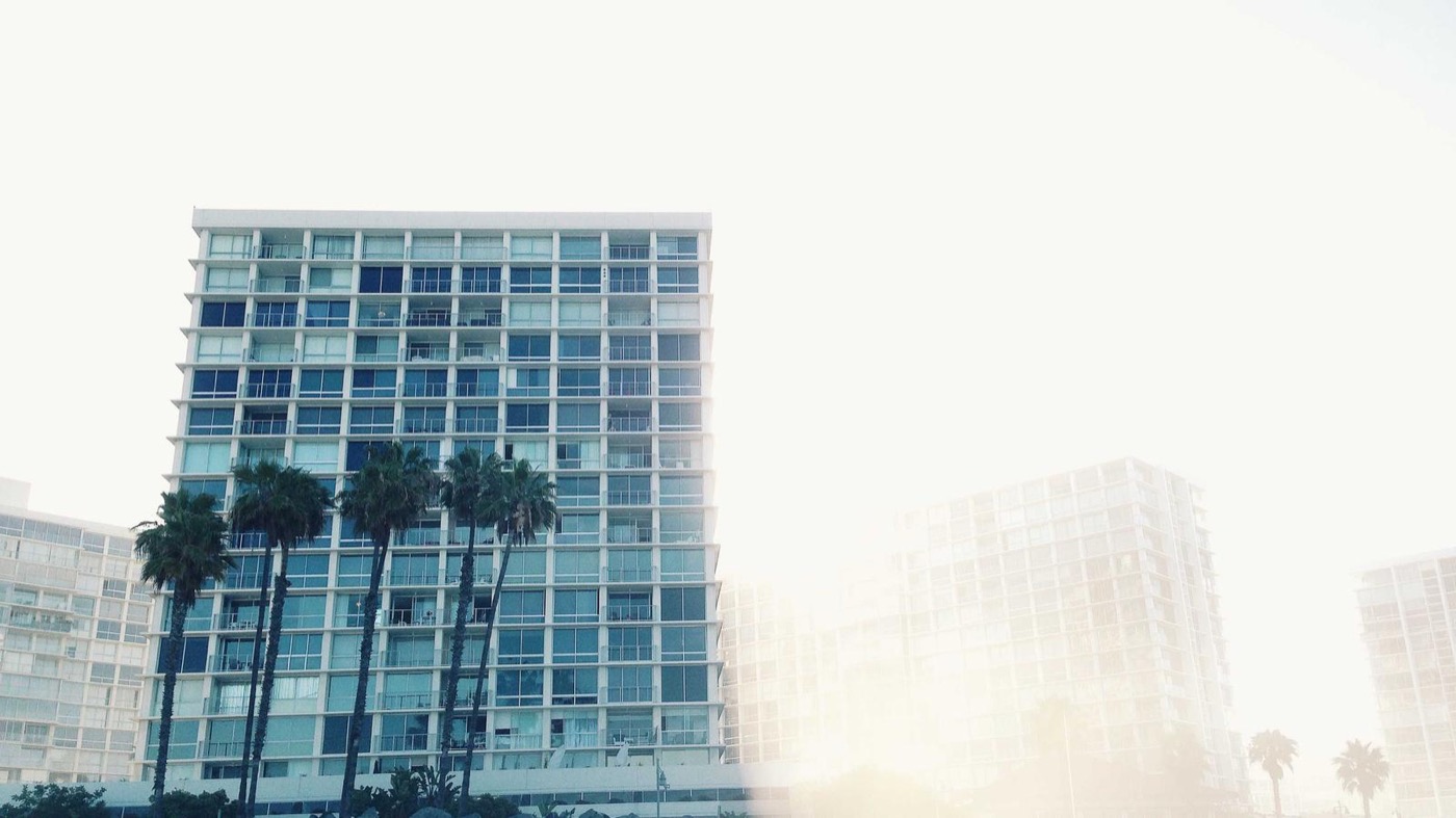 Professional career coaching session in a modern office.