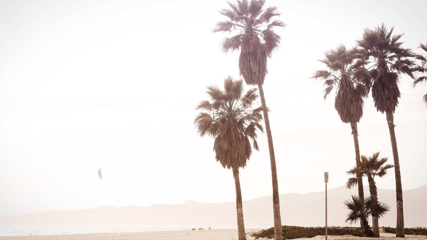 Professional coaching session focused on career pivots.