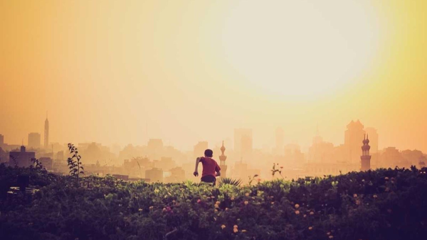 Professional coaching session focused on case studies.