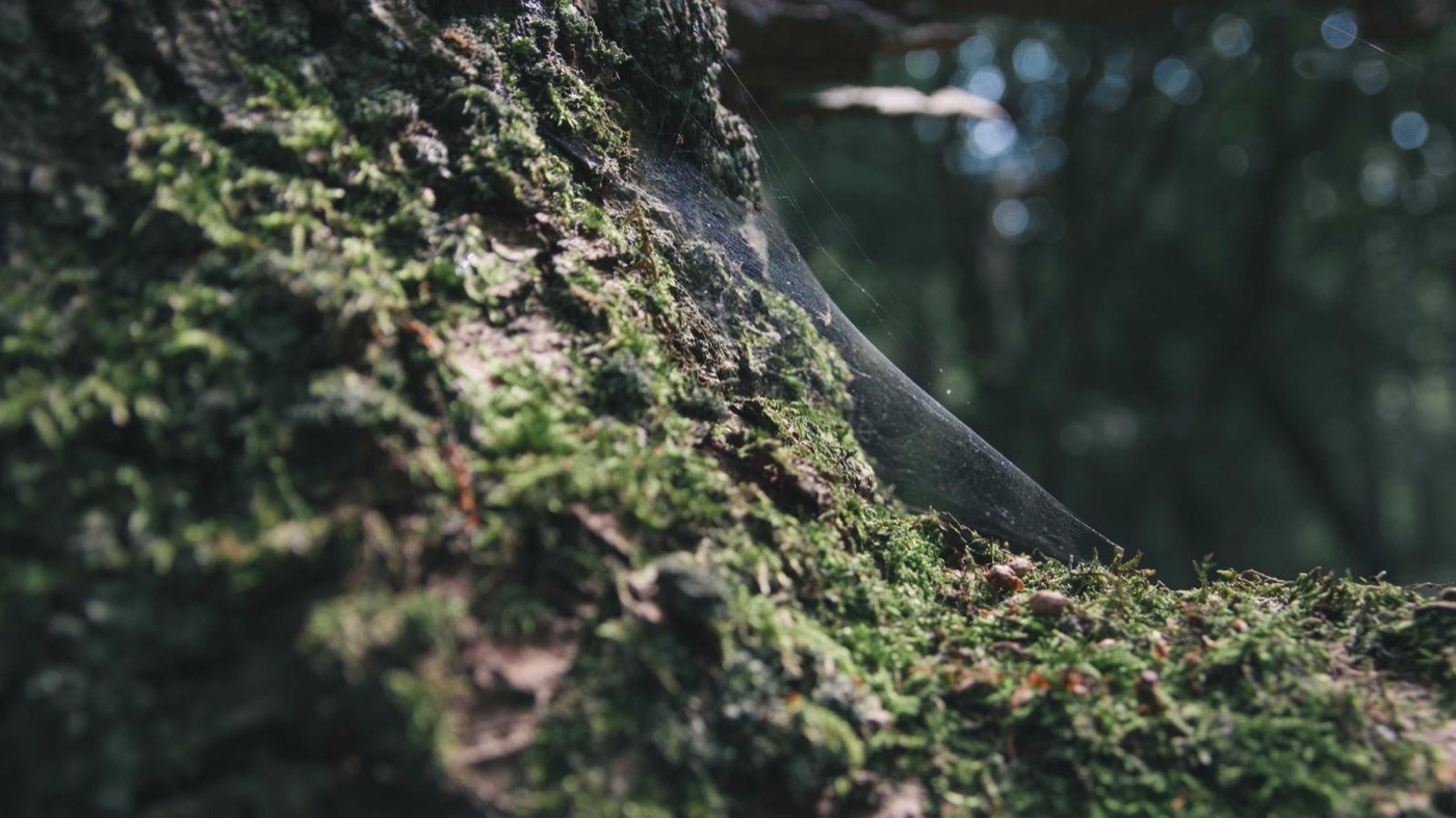 Professional coaching session focused on cold outreach.