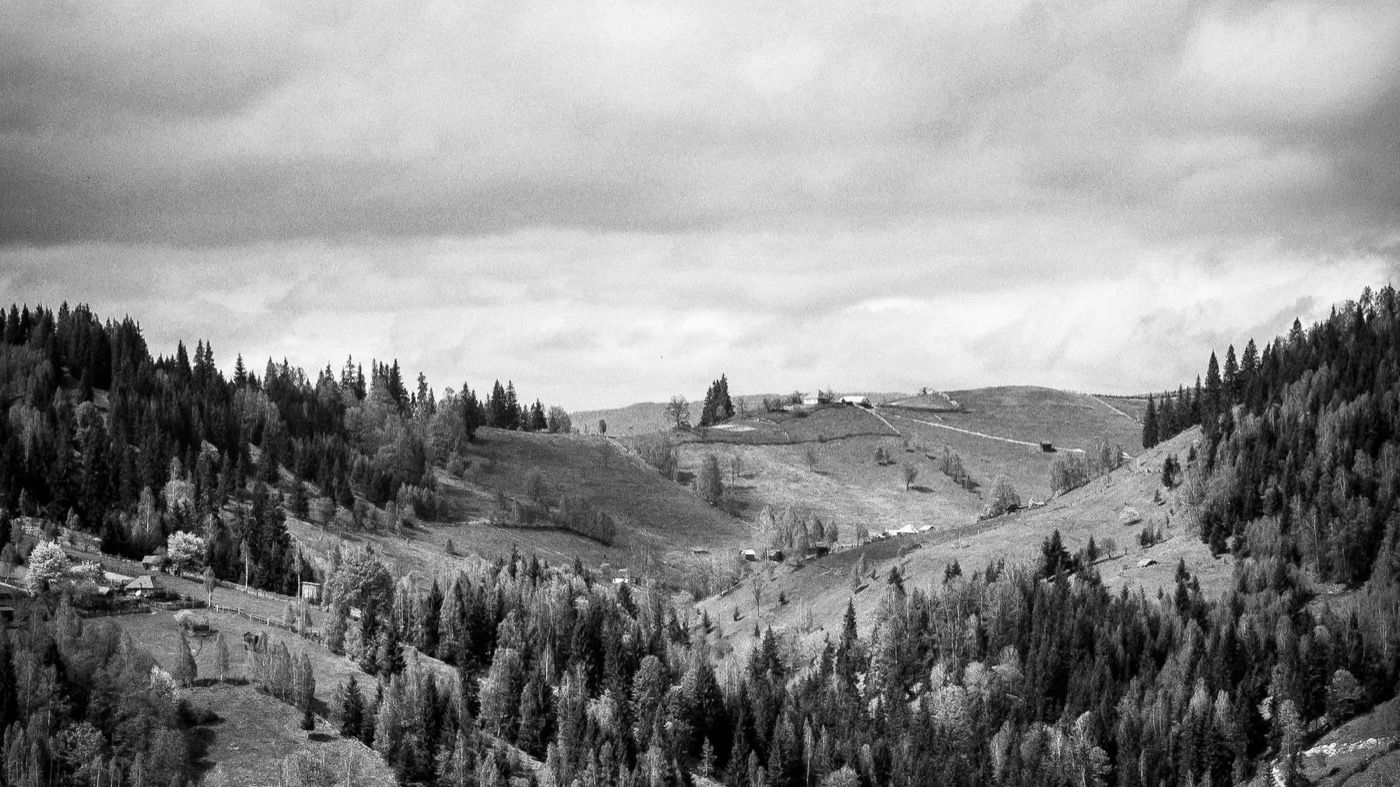 Professional coaching session focused on offer negotiation.