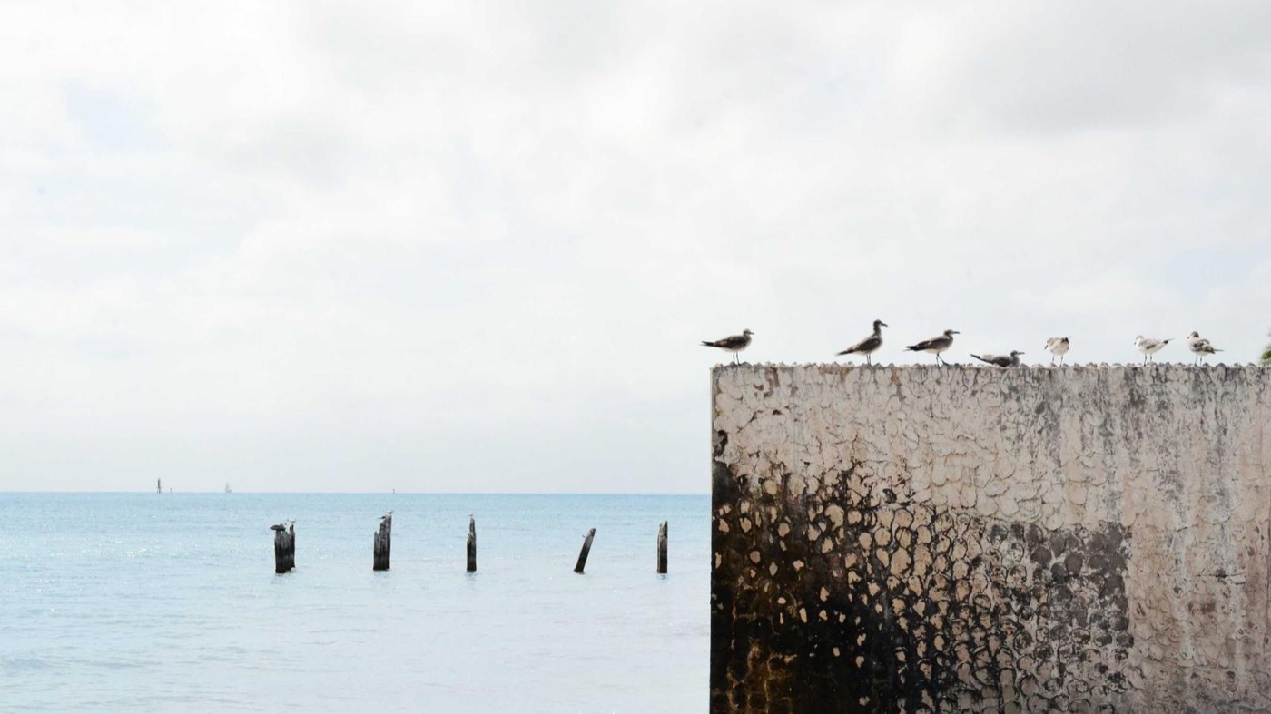 Professional coaching session focused on portfolio strategy.