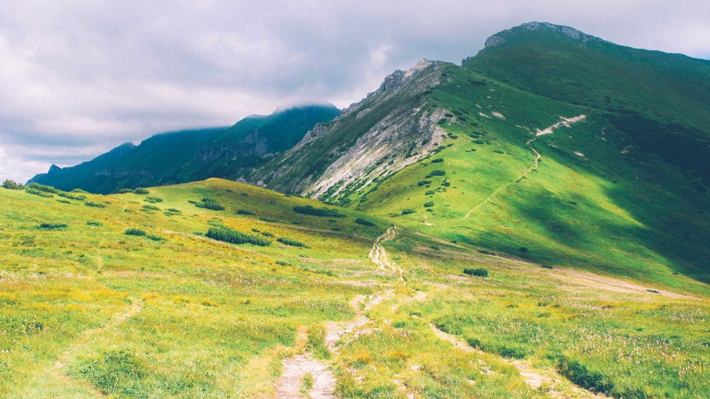 Professional career coaching session in a modern office.