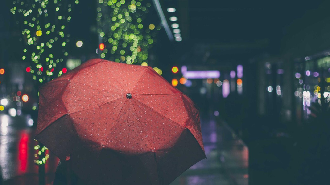 Professional career coaching session in a modern office.