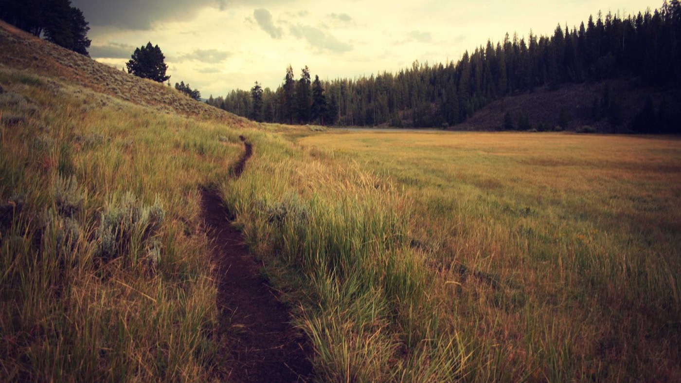 Professional coaching session focused on promotion readiness.