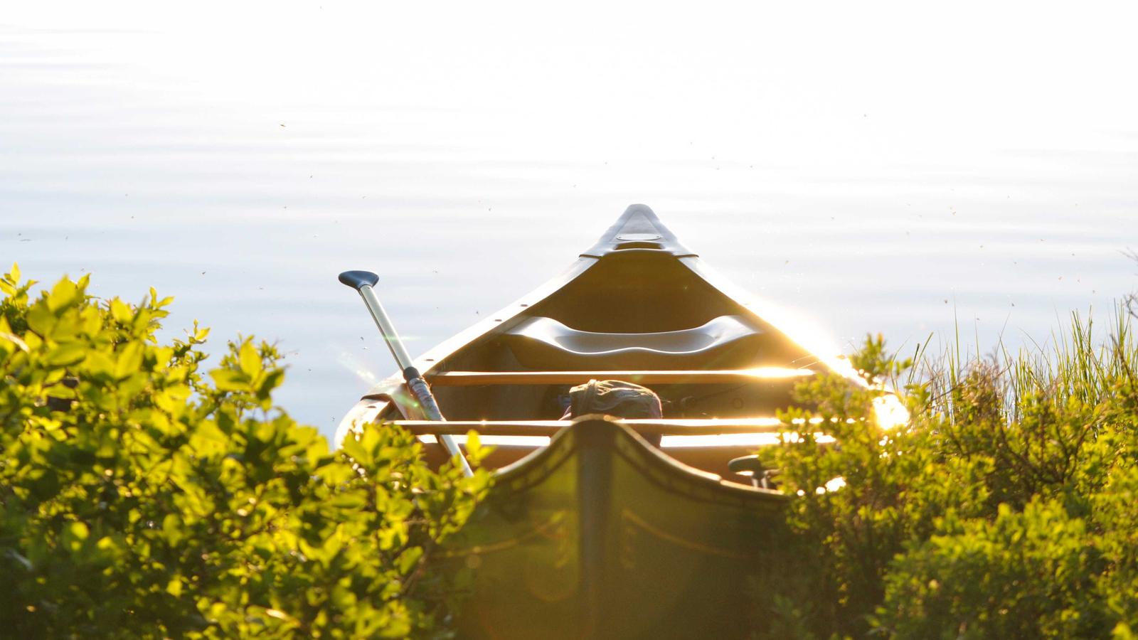 Professional coaching and career strategy imagery.