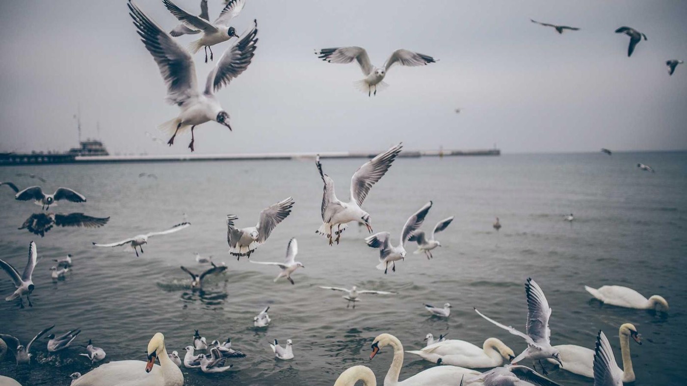 Professional coaching and career strategy imagery.